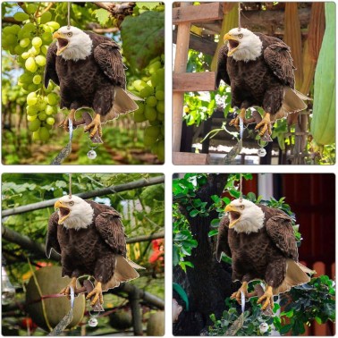 Águila Espantapájaros Instalación