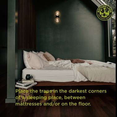 Place the traps in the darkest corners of a sleeping place, between mattresses and/or on the floor.