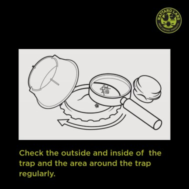 Check the outside and inside of the trap and the area around the trap regularly.