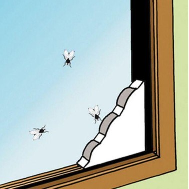 Pack of 2 adhesive fly traps for windows.