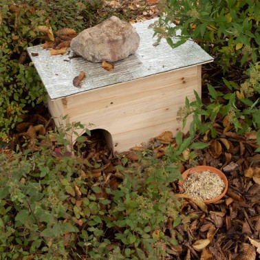 Hedgehog House Safe Winter Shelter