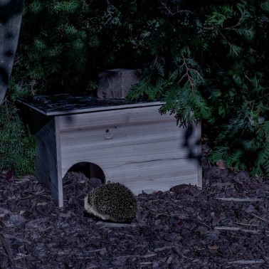 Hedgehog House