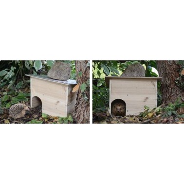 Hedgehog House