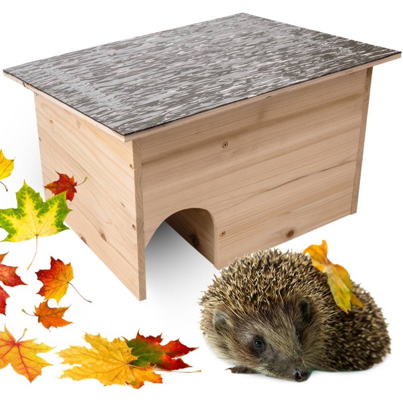 Hedgehog House