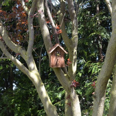 Bird Nesting House "Nature" Wooden Nesting Box