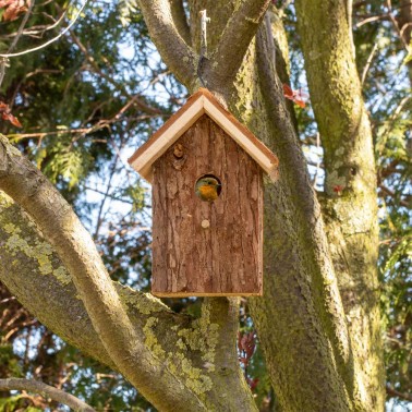 Bird Nesting House "Nature" - A cozy shelter for small birds in your garden