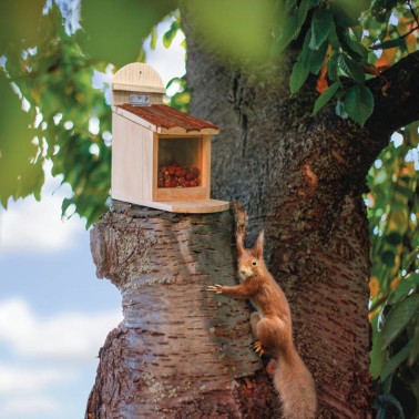 Casa Comedero para Ardillas en árbol