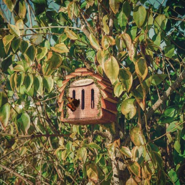 Butterfly House in Garden