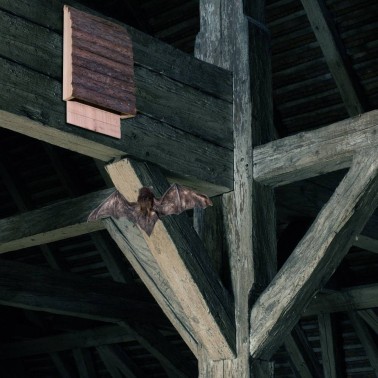 Bat House