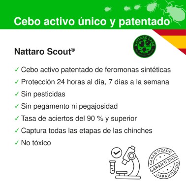 Cebo Nattaro Scout