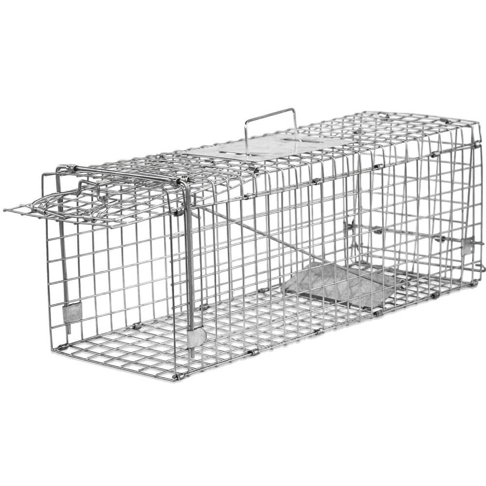 https://www.birdgard.es/136/folding-trap-cage.jpg