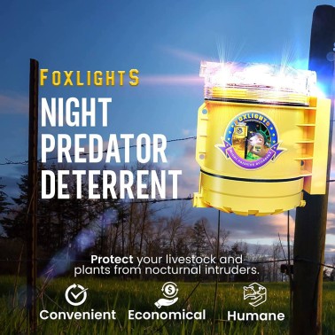 FoxLights Night Predator Deterrent