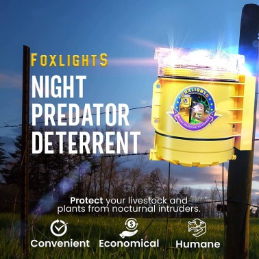 FoxLights Ahuyentador de Depredadores Nocturnos