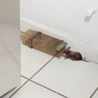 Effective Live Mouse Traps