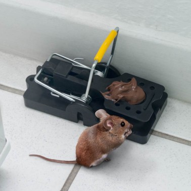  CaptSure Original Humane Mouse Traps, Easy to Set