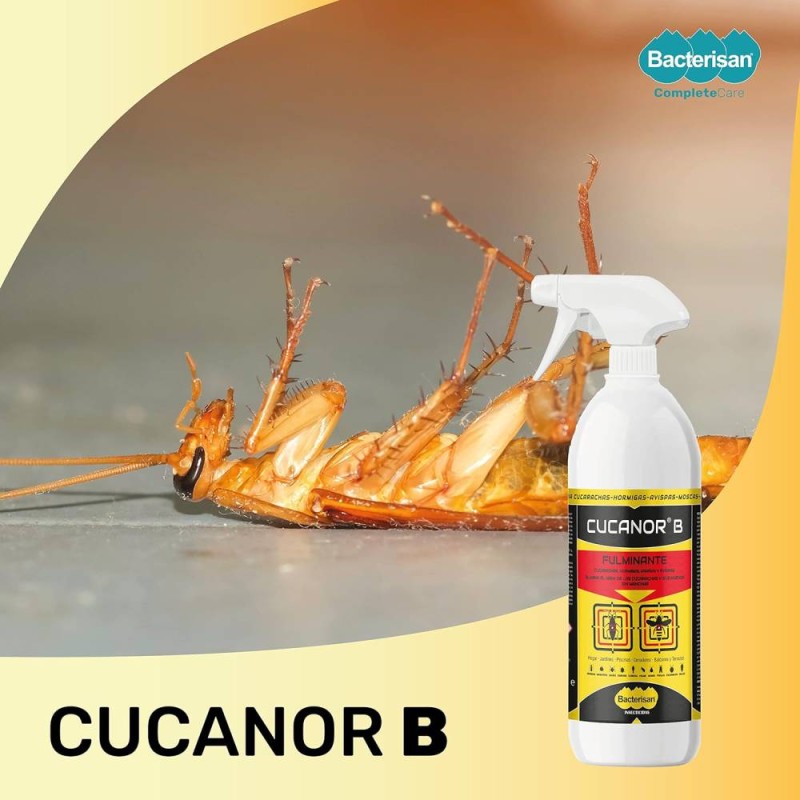 CUCANOR B - Effective Insecticide Against Cockroaches | BirdGard Iberia