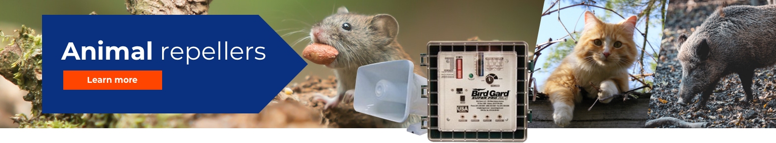 Effective, Reusable, Eco-friendly - Live Mouse Trap - BirdGard Iberia